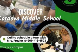 Top Cordova Middle School: Guide & Info Best Schools in America: Top Public & Private Options Top Cordova Middle School: Guide & Info | Best Schools in America: Top Public & Private Options