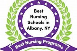 Top 10 Best Nursing Schools in NY 2024 Best Schools in America: Top Public & Private Options Top 10 Best Nursing Schools in NY 2024 | Best Schools in America: Top Public & Private Options