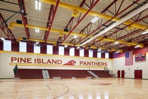 Top-Rated Pine Island Elementary School: A Guide Best Schools in America: Top Public & Private Options Top-Rated Pine Island Elementary School: A Guide | Best Schools in America: Top Public & Private Options
