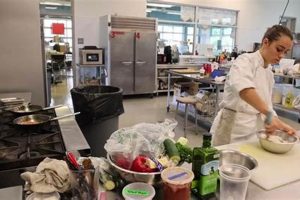 Best Culinary Arts High School: Guide & Careers Best Schools in America: Top Public & Private Options Best Culinary Arts High School: Guide & Careers | Best Schools in America: Top Public & Private Options