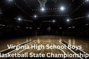 VA High School Basketball State Champs History & Records Best Schools in America: Top Public & Private Options VA High School Basketball State Champs History & Records | Best Schools in America: Top Public & Private Options