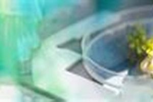Top Best Schools for Biotechnology Programs Best Schools in America: Top Public & Private Options Top Best Schools for Biotechnology Programs | Best Schools in America: Top Public & Private Options