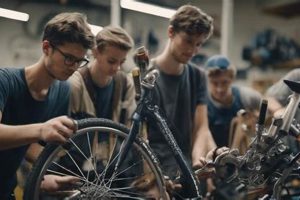 Top 5 Best Bicycle Mechanic Schools & Training Best Schools in America: Top Public & Private Options Top 5 Best Bicycle Mechanic Schools & Training | Best Schools in America: Top Public & Private Options