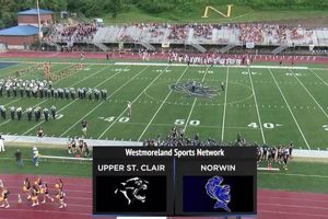 Your Guide to Norwin High School Football Best Schools in America: Top Public & Private Options Your Guide to Norwin High School Football | Best Schools in America: Top Public & Private Options