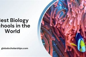 Top Biology Schools in Florida: 2024 Guide Best Schools in America: Top Public & Private Options Top Biology Schools in Florida: 2024 Guide | Best Schools in America: Top Public & Private Options