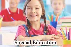 Top 10 Best Special Ed Schools in the US Best Schools in America: Top Public & Private Options Top 10 Best Special Ed Schools in the US | Best Schools in America: Top Public & Private Options