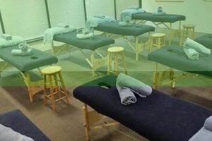 Top Massage Schools Near You: Find the Best Best Schools in America: Top Public & Private Options Top Massage Schools Near You: Find the Best | Best Schools in America: Top Public & Private Options