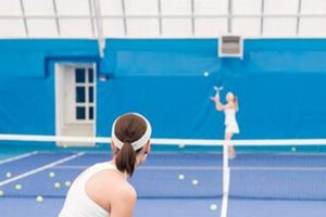 Top Best Tennis Schools & Academies Worldwide Best Schools in America: Top Public & Private Options Top Best Tennis Schools & Academies Worldwide | Best Schools in America: Top Public & Private Options