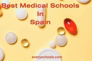Top Medical Schools in Spain: A 2024 Guide Best Schools in America: Top Public & Private Options Top Medical Schools in Spain: A 2024 Guide | Best Schools in America: Top Public & Private Options
