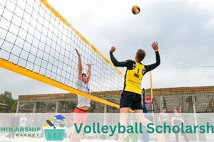 High School Volleyball Scholarships: Guide for Students Best Schools in America: Top Public & Private Options High School Volleyball Scholarships: Guide for Students | Best Schools in America: Top Public & Private Options