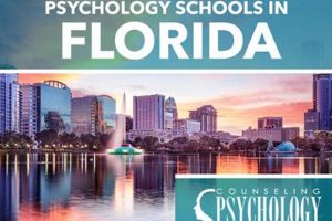 Top Psychology Schools in Florida 2024 Best Schools in America: Top Public & Private Options Top Psychology Schools in Florida 2024 | Best Schools in America: Top Public & Private Options