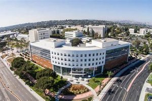 Top CSU Engineering Schools: 2024 Guide Best Schools in America: Top Public & Private Options Top CSU Engineering Schools: 2024 Guide | Best Schools in America: Top Public & Private Options