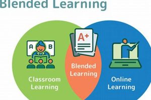 Best Blended Learning in Duval County Schools Best Schools in America: Top Public & Private Options Best Blended Learning in Duval County Schools | Best Schools in America: Top Public & Private Options