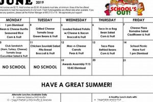 Jackson Elementary School Lunch Menu Best Schools in America: Top Public & Private Options Jackson Elementary School Lunch Menu | Best Schools in America: Top Public & Private Options