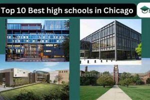 Top Chicago's Best Schools: 2024 Guide Best Schools in America: Top Public & Private Options Top Chicago's Best Schools: 2024 Guide | Best Schools in America: Top Public & Private Options