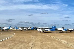 Top Dallas Flight Schools: Your Pilot Journey Starts Here Best Schools in America: Top Public & Private Options Top Dallas Flight Schools: Your Pilot Journey Starts Here | Best Schools in America: Top Public & Private Options