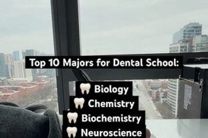 Top Undergraduate Majors for Dental School Success Best Schools in America: Top Public & Private Options Top Undergraduate Majors for Dental School Success | Best Schools in America: Top Public & Private Options