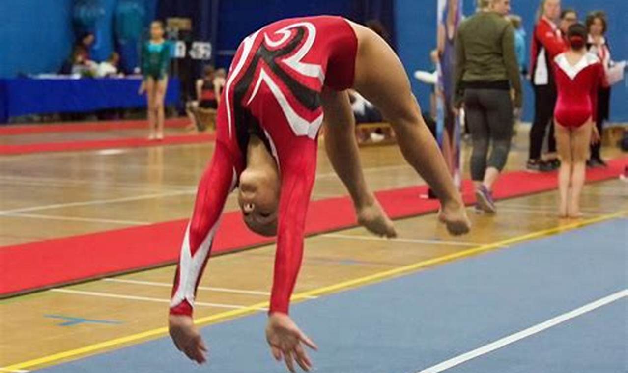 Top US Best Schools for Gymnastics Training Best Schools in America: Top Public & Private Options Top US Best Schools for Gymnastics Training | Best Schools in America: Top Public & Private Options