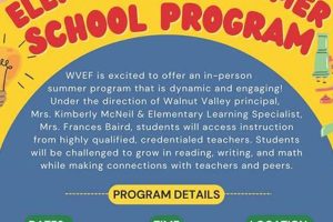Best Elementary Summer School Programs Best Schools in America: Top Public & Private Options Best Elementary Summer School Programs | Best Schools in America: Top Public & Private Options