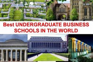 Top 10 Best CS Undergrad Schools in 2024 Best Schools in America: Top Public & Private Options Top 10 Best CS Undergrad Schools in 2024 | Best Schools in America: Top Public & Private Options