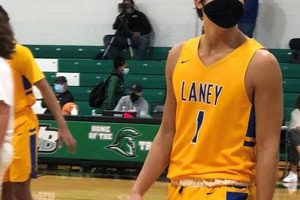 Laney High School: A Basketball Legacy Best Schools in America: Top Public & Private Options Laney High School: A Basketball Legacy | Best Schools in America: Top Public & Private Options
