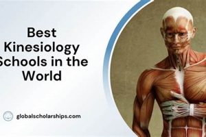 Top 10 Best Kinesiology Schools: 2024 Guide Best Schools in America: Top Public & Private Options Top 10 Best Kinesiology Schools: 2024 Guide | Best Schools in America: Top Public & Private Options