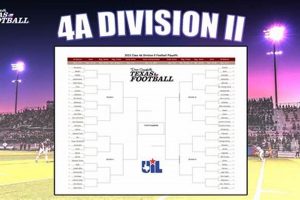 Top Texas HS Football 4A D2 Rankings 2024 | Best Schools in America: Top Public & Private Options