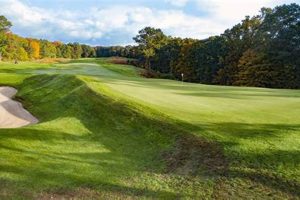 Top 10 Best College Golf Schools in the US Best Schools in America: Top Public & Private Options Top 10 Best College Golf Schools in the US | Best Schools in America: Top Public & Private Options