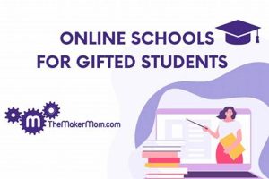 Top Schools for Gifted Students: A Guide Best Schools in America: Top Public & Private Options Top Schools for Gifted Students: A Guide | Best Schools in America: Top Public & Private Options