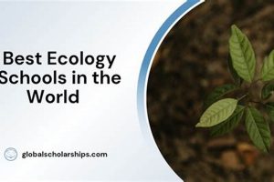 Top 10 Best Ecology Schools: 2024 Rankings Best Schools in America: Top Public & Private Options Top 10 Best Ecology Schools: 2024 Rankings | Best Schools in America: Top Public & Private Options