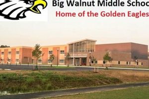 Explore Big Walnut Middle School: A Parent's Guide Best Schools in America: Top Public & Private Options Explore Big Walnut Middle School: A Parent's Guide | Best Schools in America: Top Public & Private Options