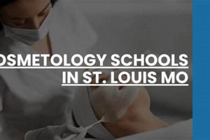 Top St. Louis Cosmetology Schools & Programs Best Schools in America: Top Public & Private Options Top St. Louis Cosmetology Schools & Programs | Best Schools in America: Top Public & Private Options