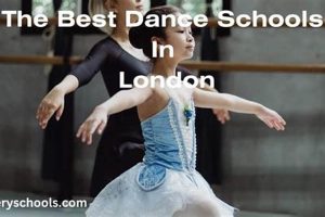 Top 10 Best Schools for Dance Training 2024 Best Schools in America: Top Public & Private Options Top 10 Best Schools for Dance Training 2024 | Best Schools in America: Top Public & Private Options