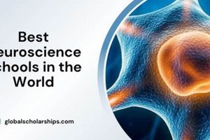 Top 10 Best Neuroscience Schools: 2024 Guide Best Schools in America: Top Public & Private Options Top 10 Best Neuroscience Schools: 2024 Guide | Best Schools in America: Top Public & Private Options