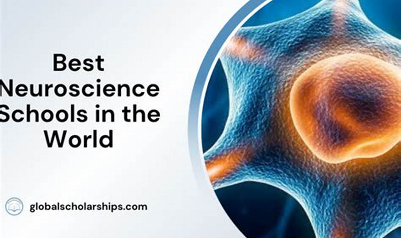Top 10 Best Neuroscience Schools: 2024 Guide Best Schools in America: Top Public & Private Options Top 10 Best Neuroscience Schools: 2024 Guide | Best Schools in America: Top Public & Private Options