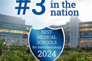 Top 10 Best Schools for Anesthesiology Programs 2024 Best Schools in America: Top Public & Private Options Top 10 Best Schools for Anesthesiology Programs 2024 | Best Schools in America: Top Public & Private Options