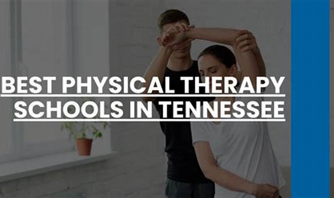 Top Physical Therapy Schools in Tennessee 2024 Best Schools in America: Top Public & Private Options Top Physical Therapy Schools in Tennessee 2024 | Best Schools in America: Top Public & Private Options