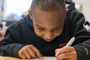 Pre K Elementary Schools Near Me Best Schools in America: Top Public & Private Options Pre K Elementary Schools Near Me | Best Schools in America: Top Public & Private Options