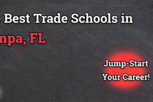 Top Trade Schools in Tampa Bay: 2024 Guide Best Schools in America: Top Public & Private Options Top Trade Schools in Tampa Bay: 2024 Guide | Best Schools in America: Top Public & Private Options