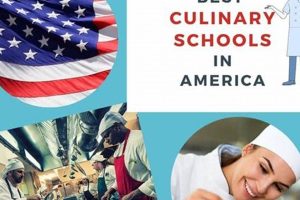 Top 10 Best Schools for Culinary Arts 2024 Best Schools in America: Top Public & Private Options Top 10 Best Schools for Culinary Arts 2024 | Best Schools in America: Top Public & Private Options