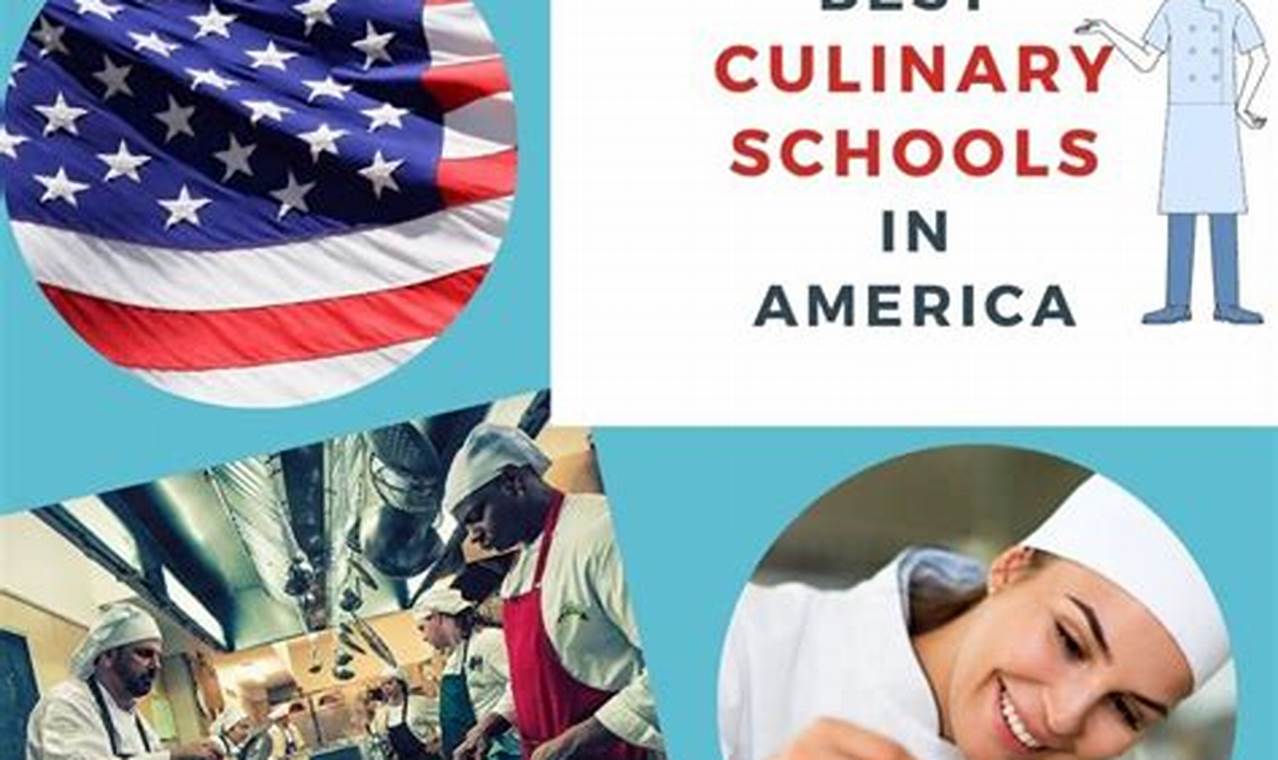 Top 10 Best Schools for Culinary Arts 2024 Best Schools in America: Top Public & Private Options Top 10 Best Schools for Culinary Arts 2024 | Best Schools in America: Top Public & Private Options