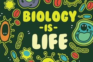 Top Biology Schools in California: 2024 Guide | Best Schools in America: Top Public & Private Options