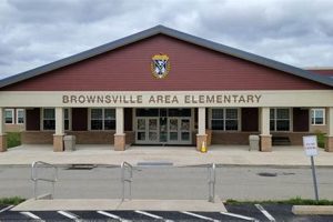 Top-Rated Elementary Schools in the Area: A Guide Best Schools in America: Top Public & Private Options Top-Rated Elementary Schools in the Area: A Guide | Best Schools in America: Top Public & Private Options