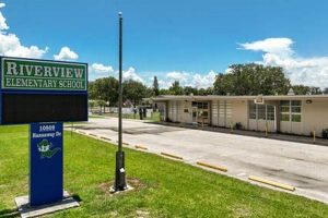 Top Elementary Schools in Riverview, FL (2024) Best Schools in America: Top Public & Private Options Top Elementary Schools in Riverview, FL (2024) | Best Schools in America: Top Public & Private Options