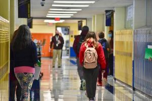 Best Grayslake Middle Schools: Parent Guide Best Schools in America: Top Public & Private Options Best Grayslake Middle Schools: Parent Guide | Best Schools in America: Top Public & Private Options