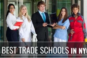 Top NYC Trade Schools: 2024 Guide Best Schools in America: Top Public & Private Options Top NYC Trade Schools: 2024 Guide | Best Schools in America: Top Public & Private Options