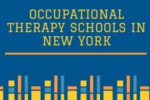 Top Occupational Therapy Schools in NY 2024 Best Schools in America: Top Public & Private Options Top Occupational Therapy Schools in NY 2024 | Best Schools in America: Top Public & Private Options