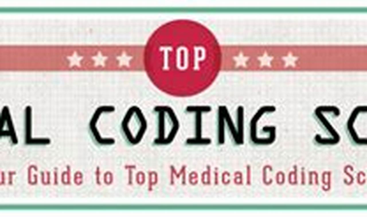 Top Medical Coding Schools & Programs: 2024 Guide Best Schools in America: Top Public & Private Options Top Medical Coding Schools & Programs: 2024 Guide | Best Schools in America: Top Public & Private Options