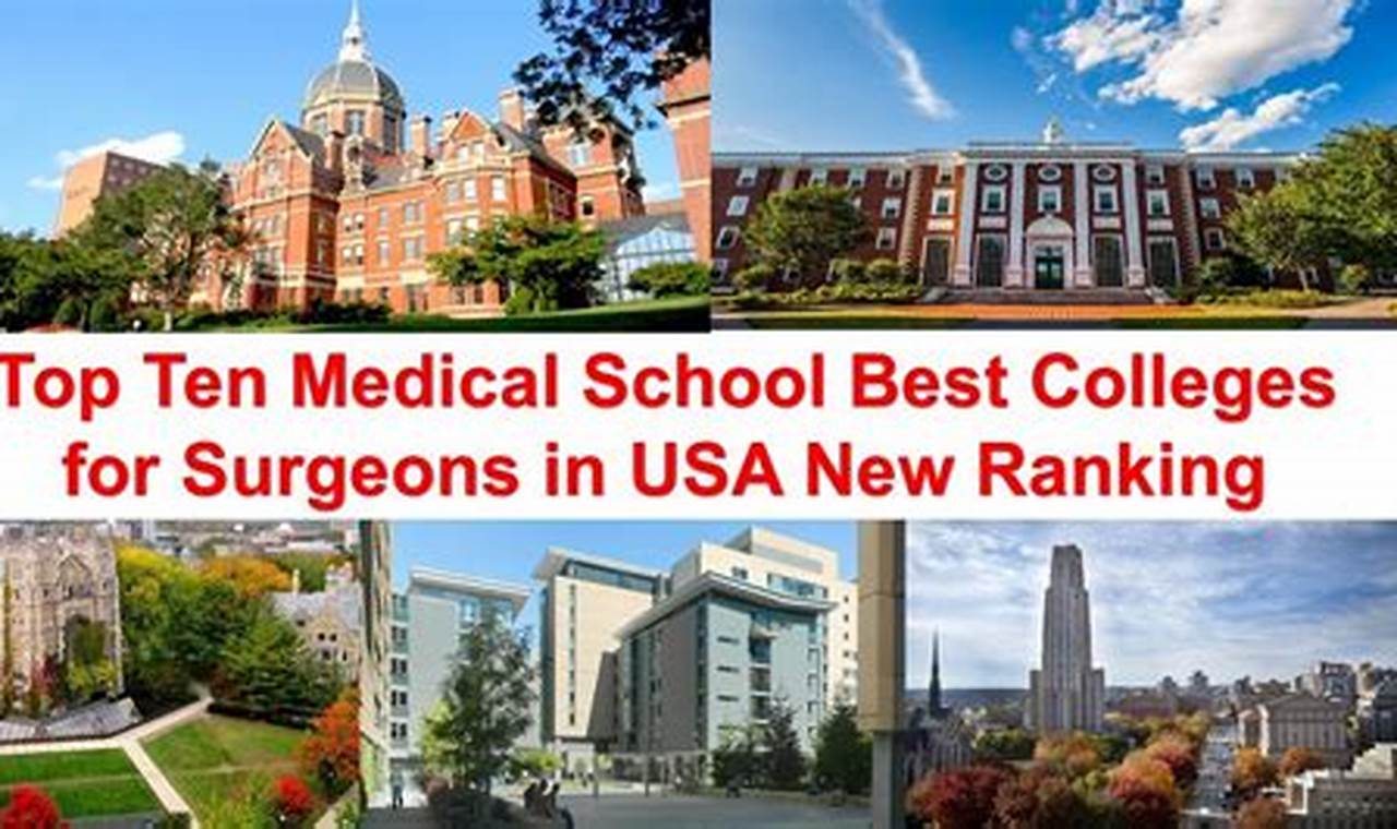 Top 5 Best Surgeon Schools: 2024 Guide Best Schools in America: Top Public & Private Options Top 5 Best Surgeon Schools: 2024 Guide | Best Schools in America: Top Public & Private Options