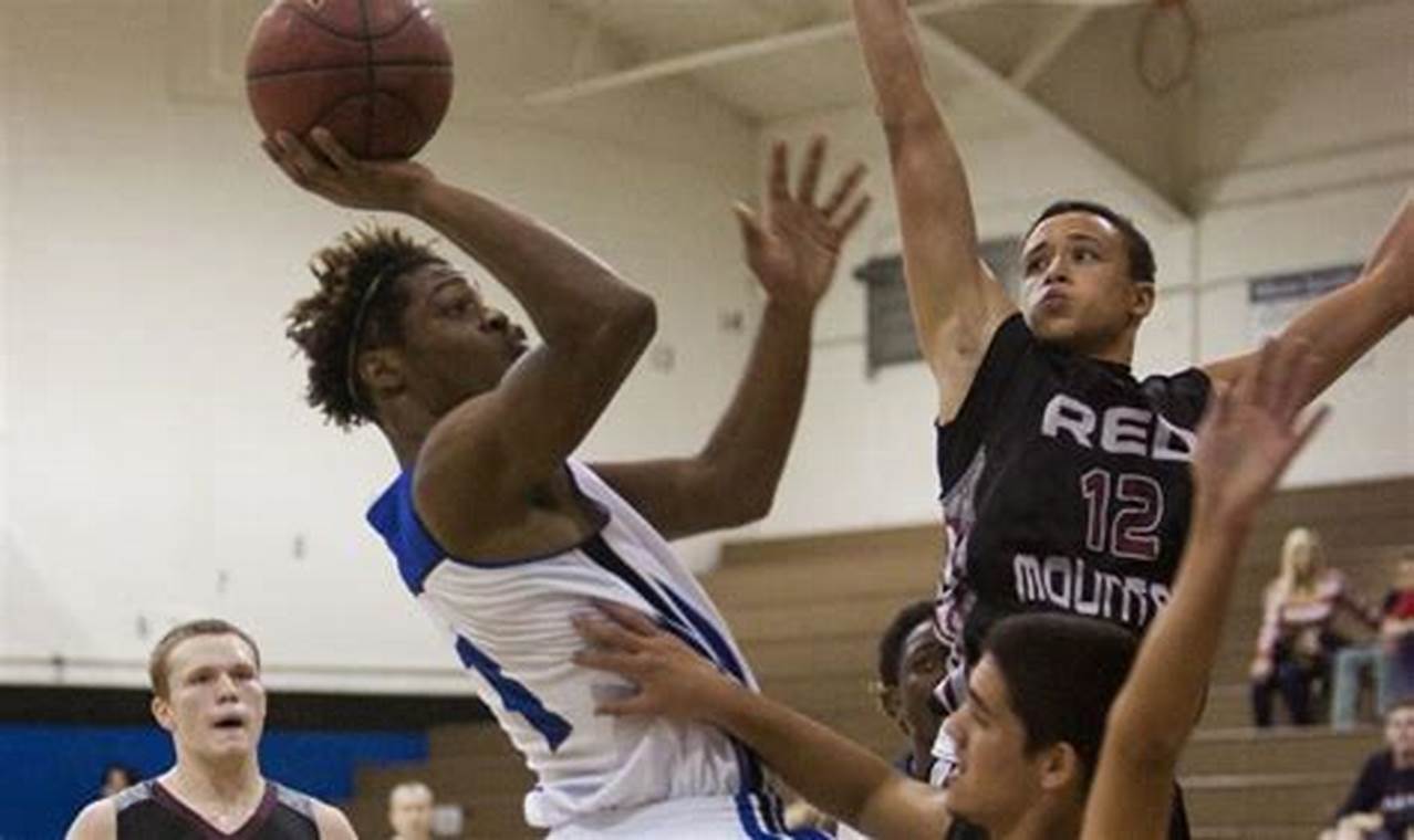 N'Keal Harry's HS Basketball Days & Beyond Best Schools in America: Top Public & Private Options N'Keal Harry's HS Basketball Days & Beyond | Best Schools in America: Top Public & Private Options